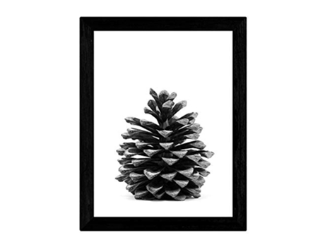 Láminas NACNIC Piña de Pino (A3)
