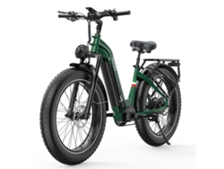 Bicicleta eléctrica V6pro Velo de 26″ x 4.0″, 250 W, 48 V, 20 Ah, verde y negra, 150 km, Ovivo
