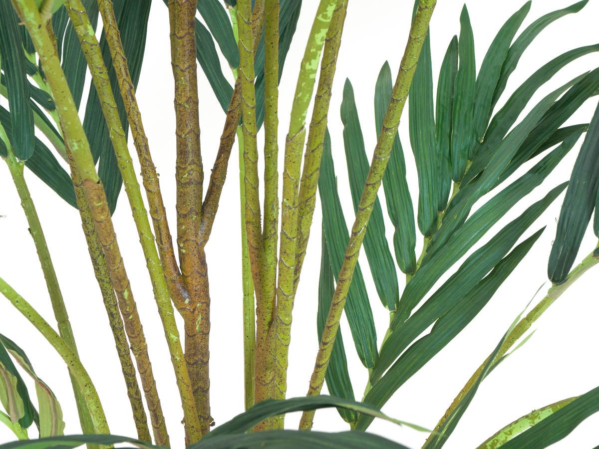Europalms 82510721 Phoenix palm tree luxor de navidad 210 cm planta artificial canary 240
