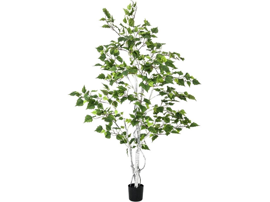 Planta Artificial EUROPALMS Birch (Verde - 150 cm)