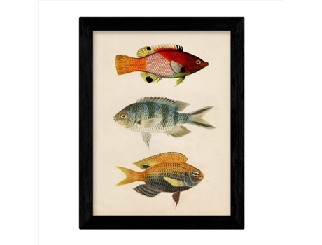 Set De 4 Láminas De Peces Coloridos Efecto Vintage. Baltico. Composicion De 12 Peces Diferentes, Fondo Papel Antiguo Vintage. . Sin Marco