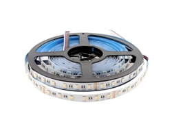 Tira Led LEDBOX EPISTAR SMD5050, RGB+W, DC24V, 5m (60Led/m 4 en 1) - IP20, RGB + Blanco cálido