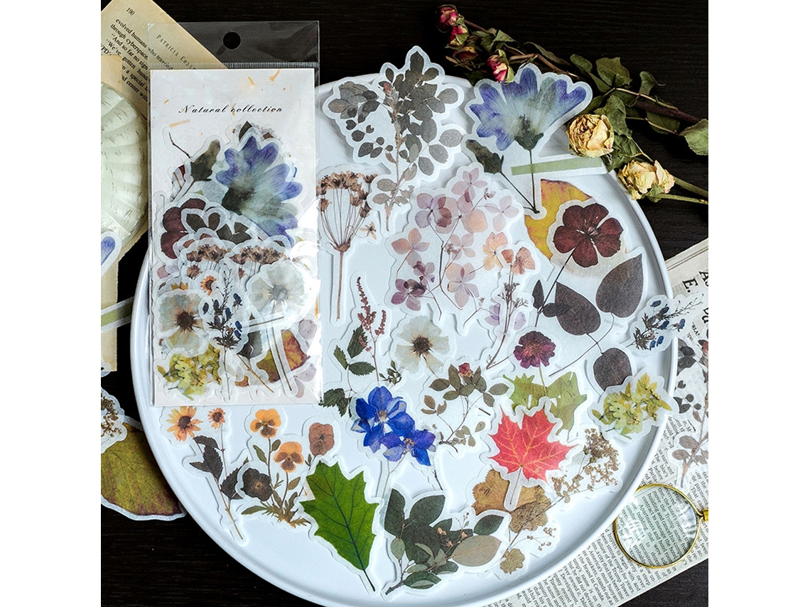 Juego de pegatinas botánicas (180 PCS), flores prensadas para diario NEVEANCE