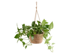 Cesta De Flores Tecida Estilo Rústico Retrô Marrom Cesta De Palha Decorativa Multiuso Para Escritório Festa Lar