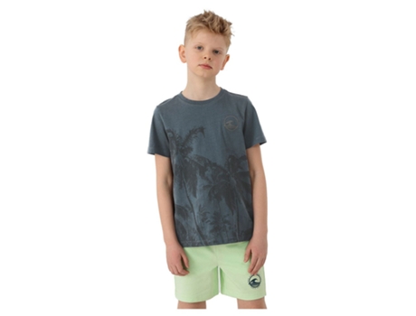 Camiseta de Hombre 4F Jtsm