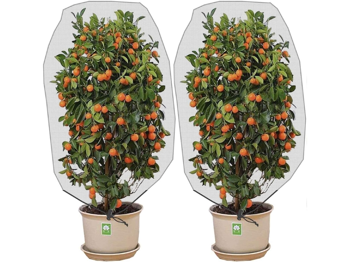 Red para árboles frutales, permite el paso de la luz y la lluvia, cubierta transparente para observación, red protectora contra insectos, material ecológico.