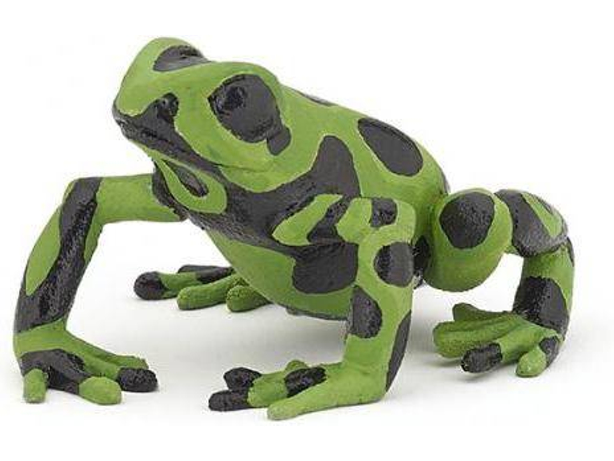 Figura PAPO Sapo Verde Equatorial