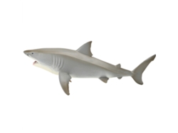 20du26 Gran Tiburón Blanco Modelo Hueco Megalodón Figura Educativa de Vida Marina Juguete