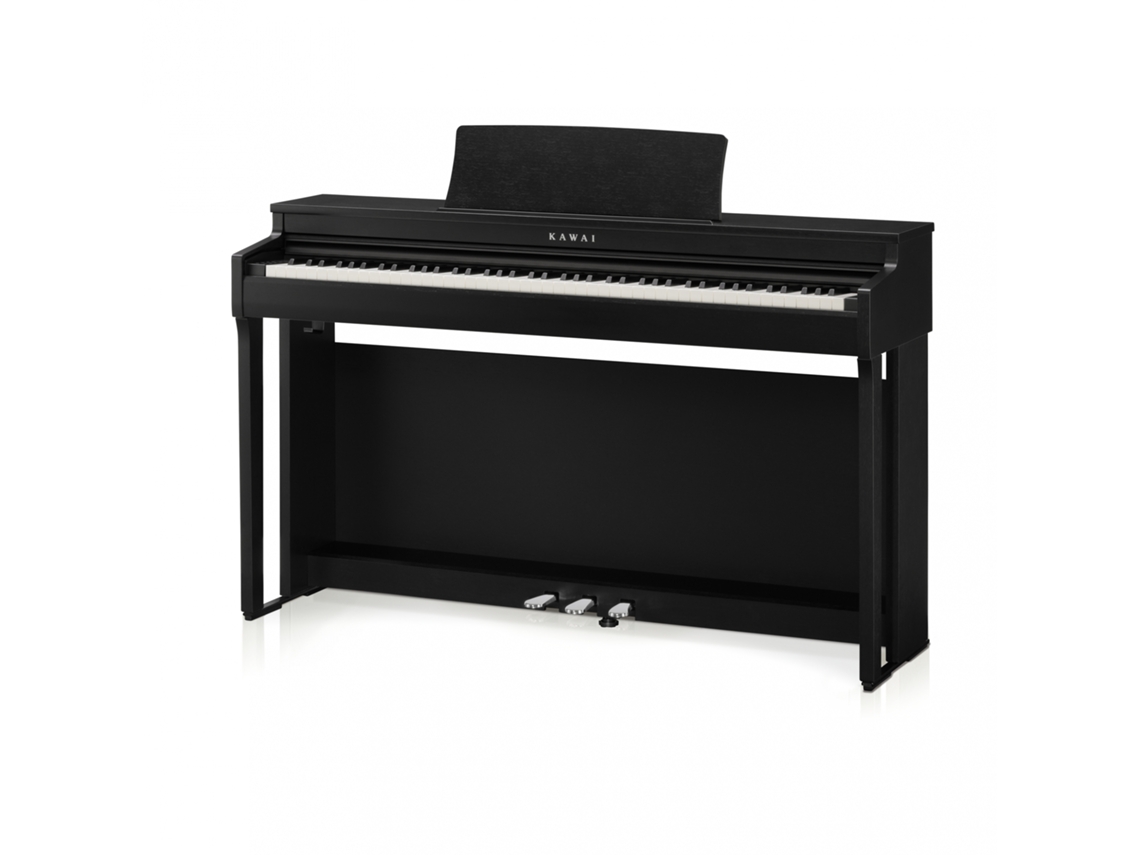 Kawai cn-201 b