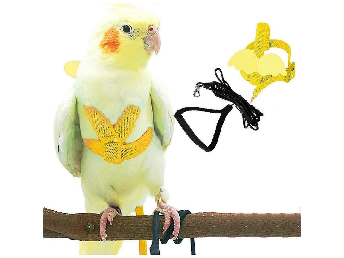 2026-arnés Ajustable Para Aves Con Correa De 2m, Kit De Entrenamiento Al Aire Libre Para Loros Cacatúas Y Periquitos