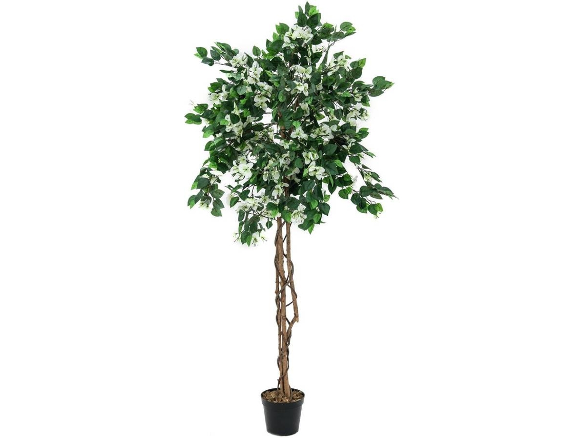 Planta Artificial EUROPALMS Bougainvillea (Blanco - 180 cm)