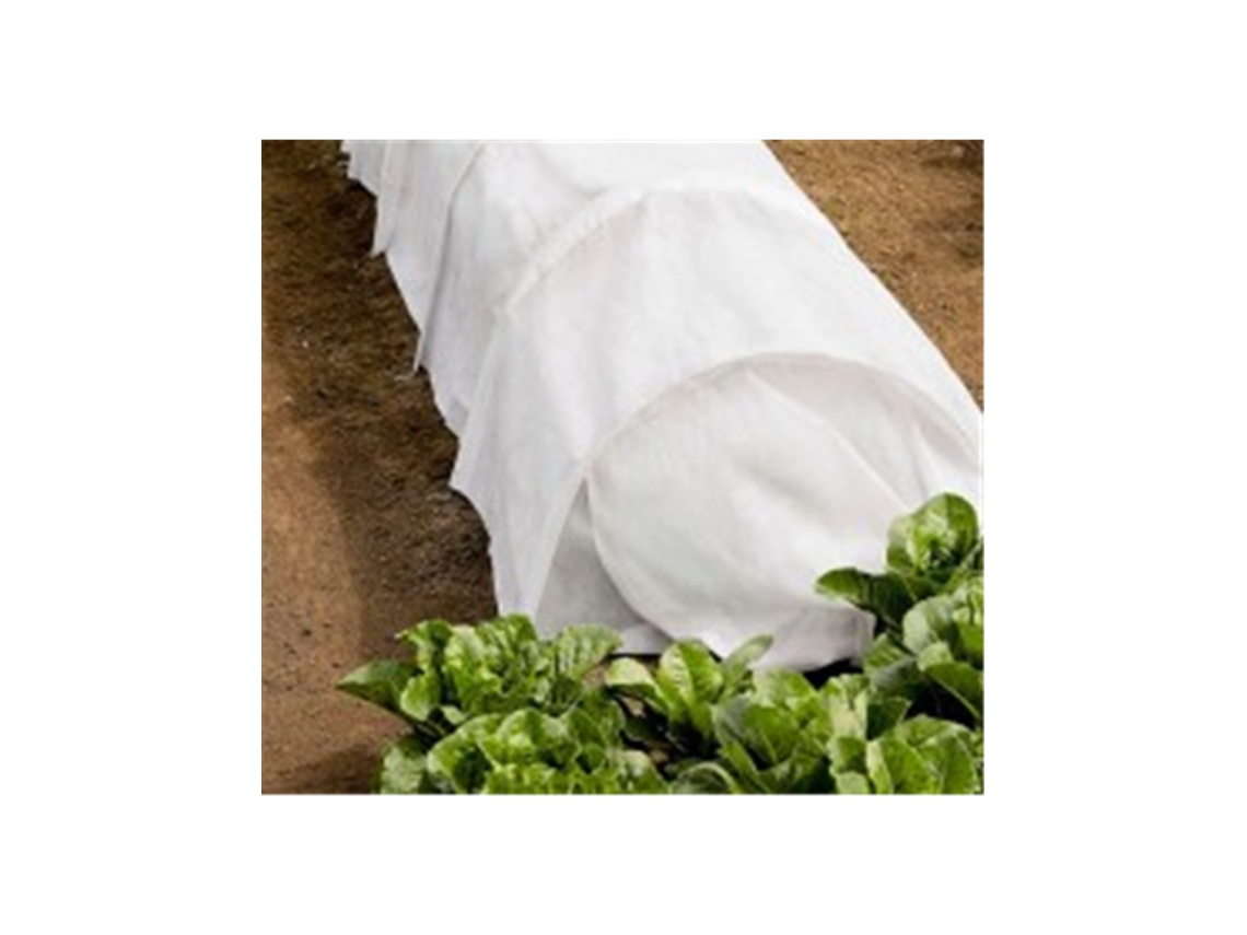 MANTO PROTECCION CULTIVOS 30gr/metro cuadrado 2x5m