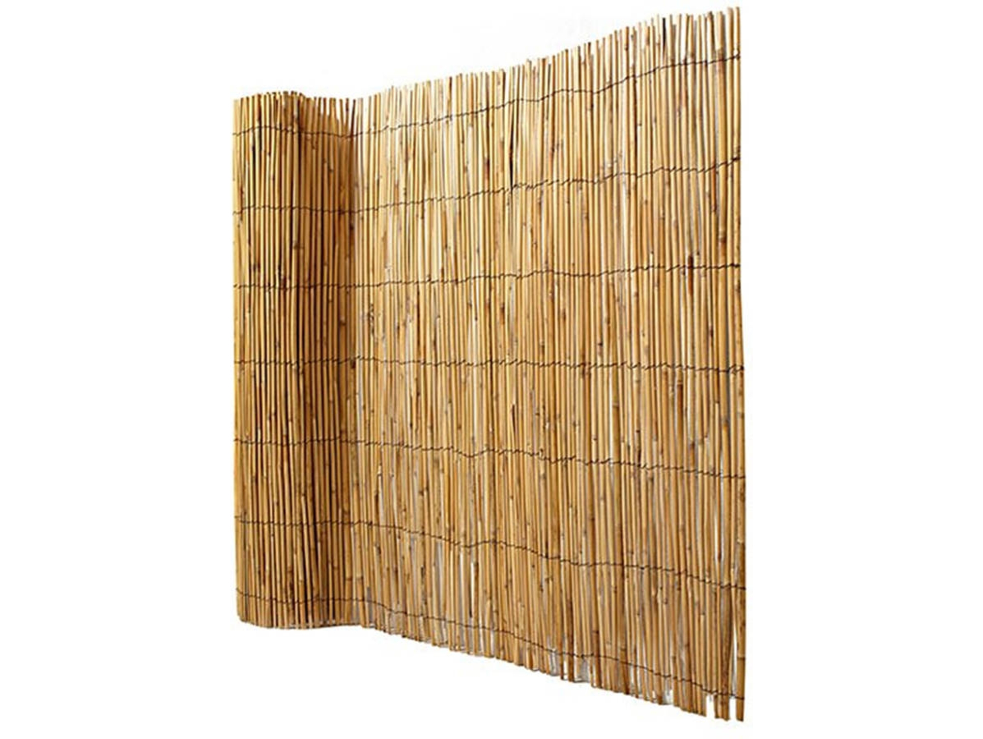 Faura - Bambú Chino Pelado Fino | Bambú Para Cerramiento De Jardín 1x5m | 1x5m ()