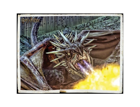 Puzzle 2D PRIME 3D Drake quebra-cabeça lenticular harry potter