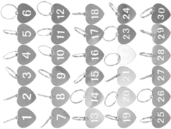 Juego De 30 Llaveros Huecos De Acero Inoxidable Con Forma De Corazón Numerados Del 1 Al 30.