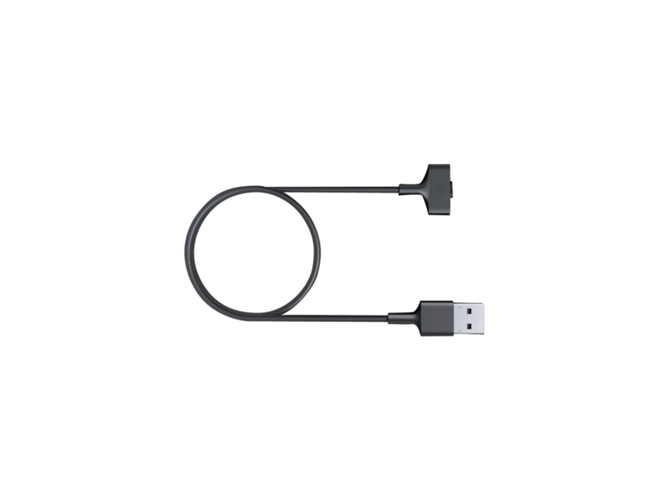 Cable de carga FITBIT BY GOOGLE Ionic