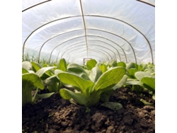 Cubierta para Invarnadero TECPLAST 3x4 m - TECPLAST 150SE - Lona Transparente Impermeable para Jardín - Alta Calidad