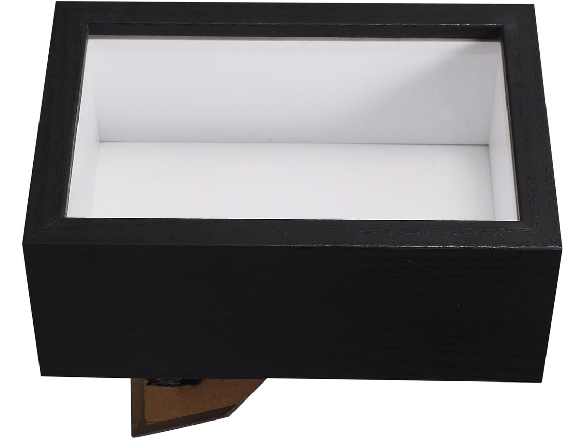 Vitrina Madera Oscura Ventana Transparente Especímenes Insectos Flores Secas Medallas Fotografías