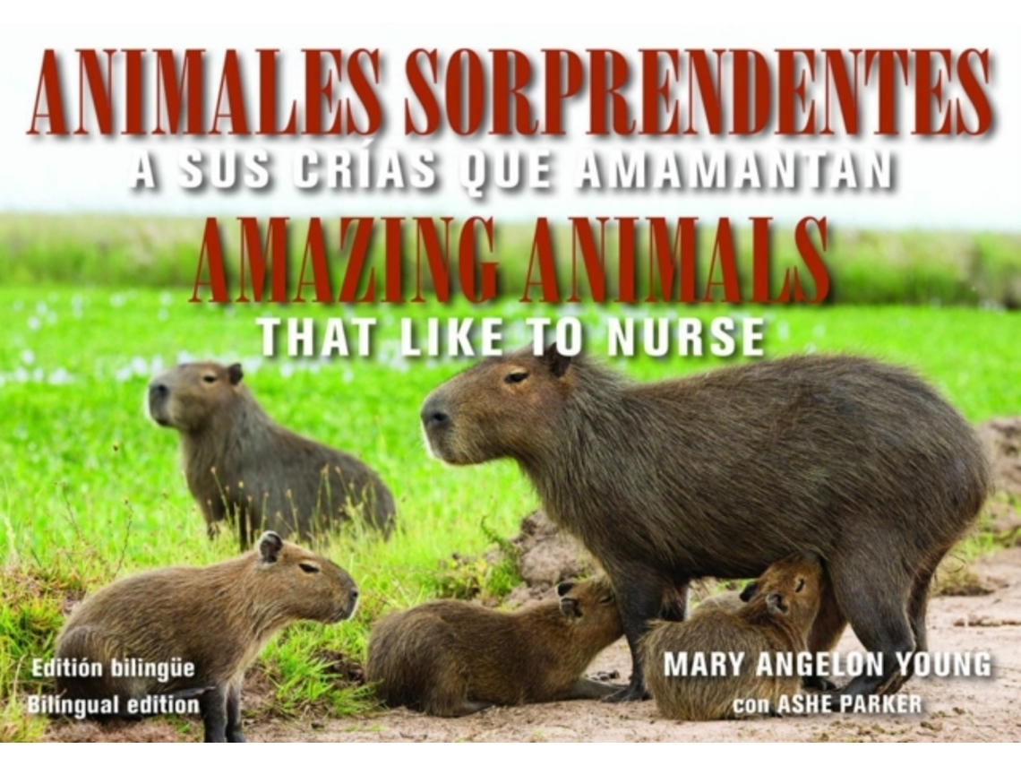 Libro Animales Sorprendentes / Amazing Animals - English &amp; Spanish Bilingual Edition (Inglés)