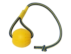 Bola para cães 2026 com corda, brinquedo de treinamento flutuante de espuma para cães de pequeno, médio e grande porte.