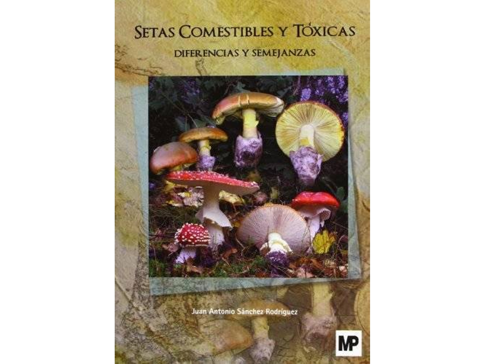 Libro Setas Comestibles Y Tóxicas. Diferencias Y Semejanzas de Ja Sánchez Rodríguez (Español)