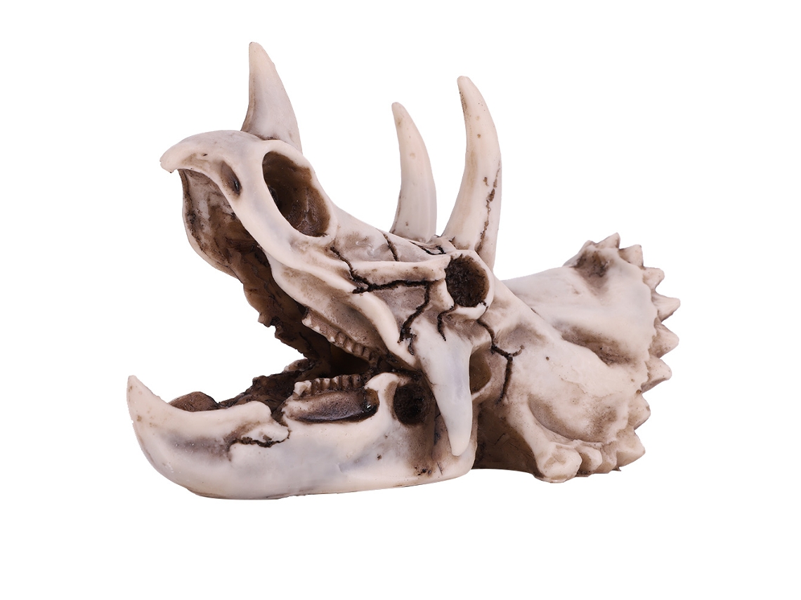 Modelo de cráneo de dinosaurio triceratops de resina para decoración de oficina