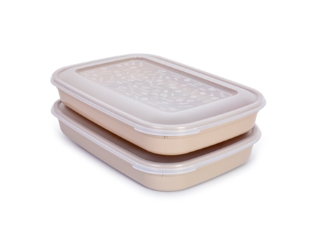 Tupperwares PLASTIC FORTE (25 x 18 x 8 cm - Plástico - Multicolor)