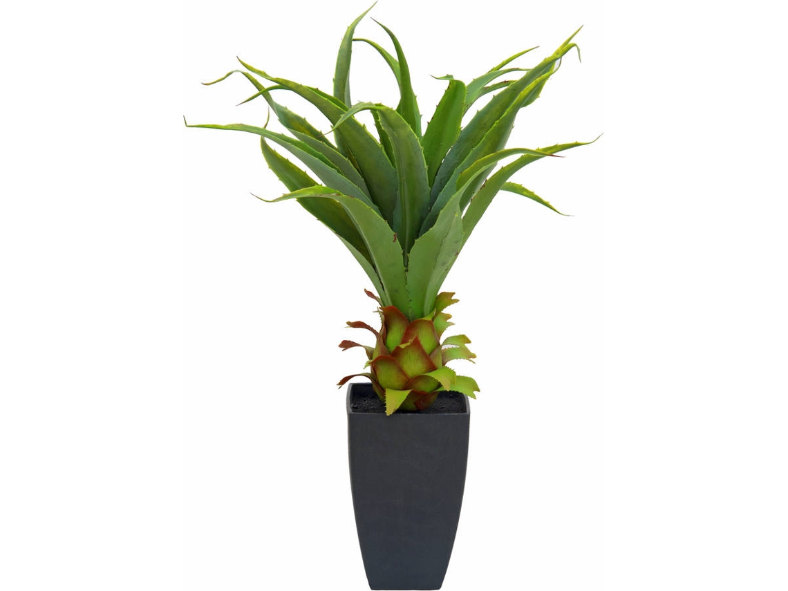 Planta Artificial EUROPALMS Agave Plant (Verde - 75 cm)
