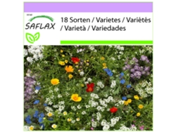 SAFLAX Enanos de jardín pequeños 1000 semillas Mix