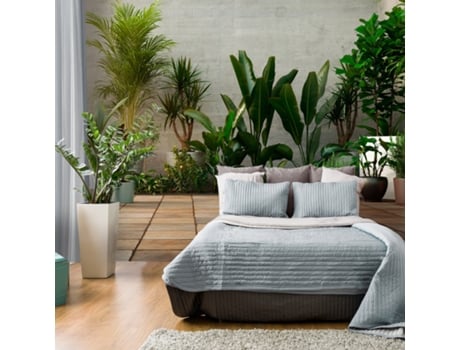 Papel de Pared ARTGEIST Home Garden (250x175)