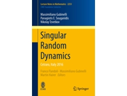 Singular Random Dynamics