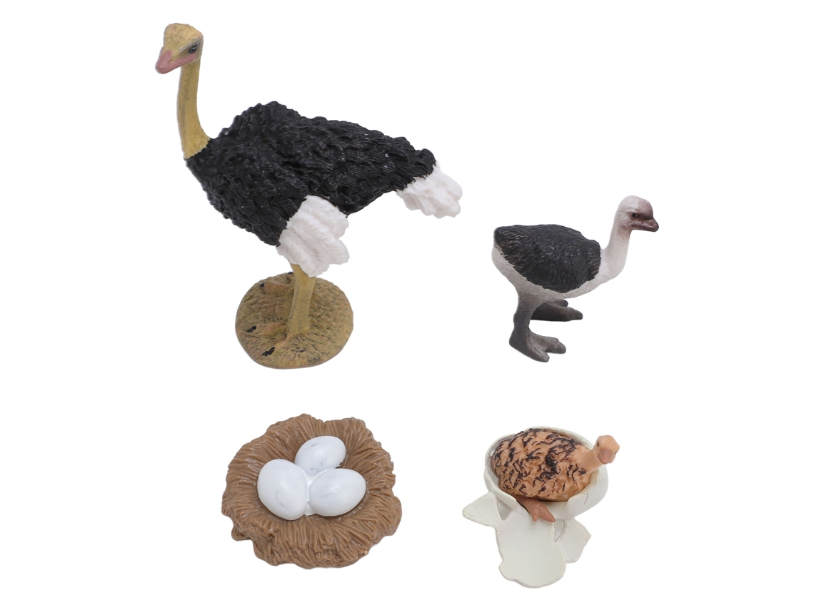 Mali figura Ciclo de Vida do Avestruz Pvc Realista Brinquedo Educativo para Crianças
