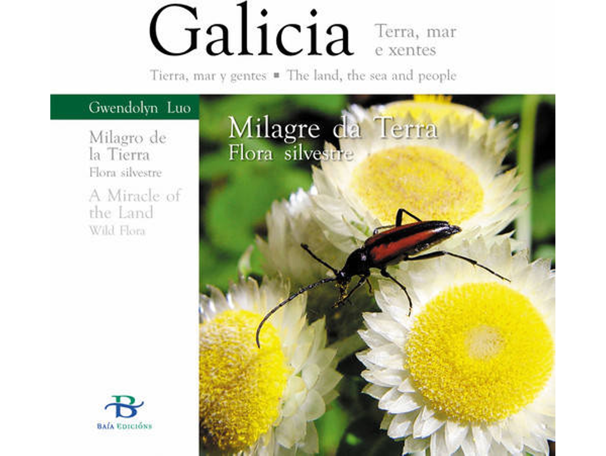 Libro Milagre Da Terra de Luo Gwendolyn (Galego)