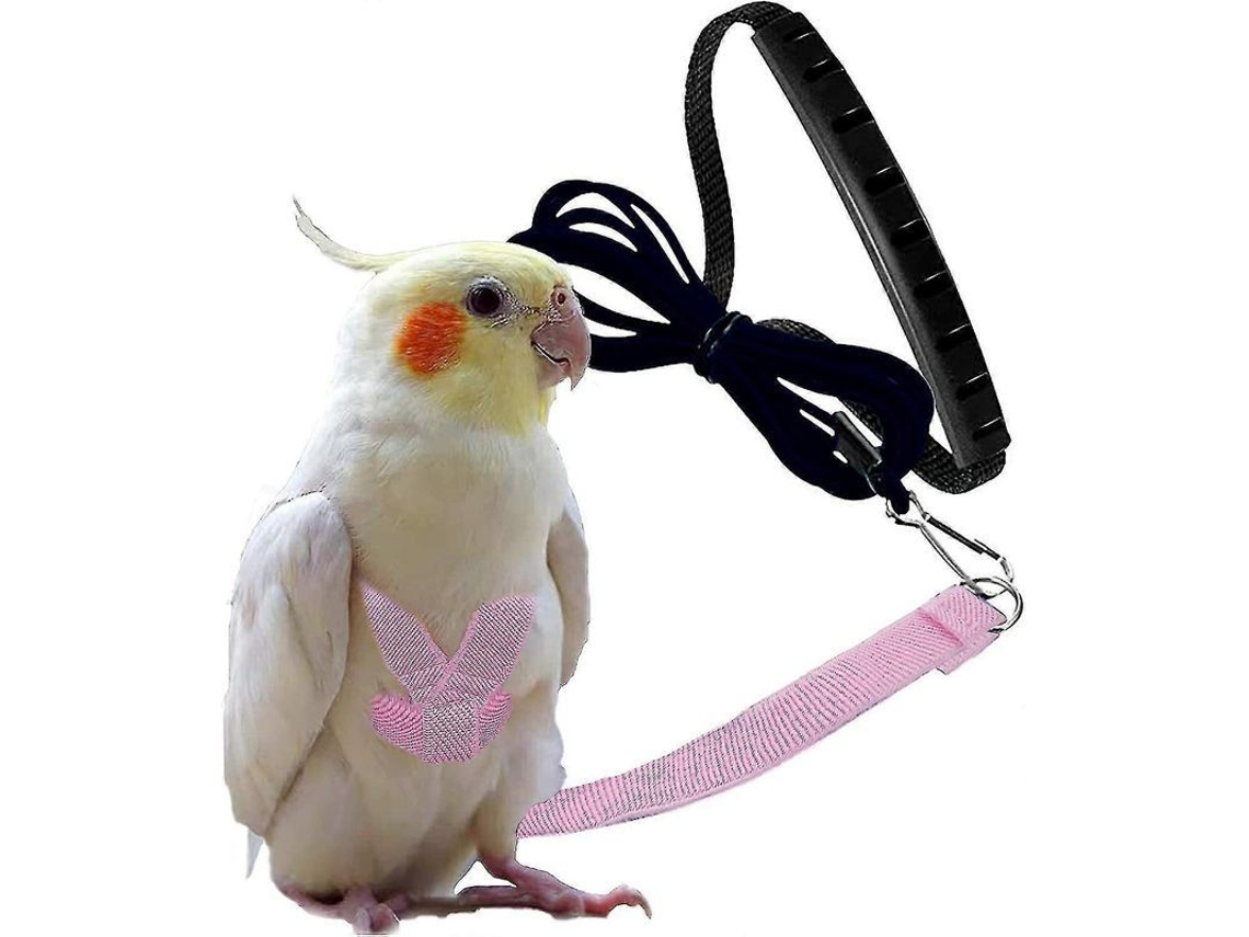2026-arnés Ajustable Para Aves Con Correa De 2 Metros, Kit De Entrenamiento Al Aire Libre Para Loros Cacatúas Y Periquitos