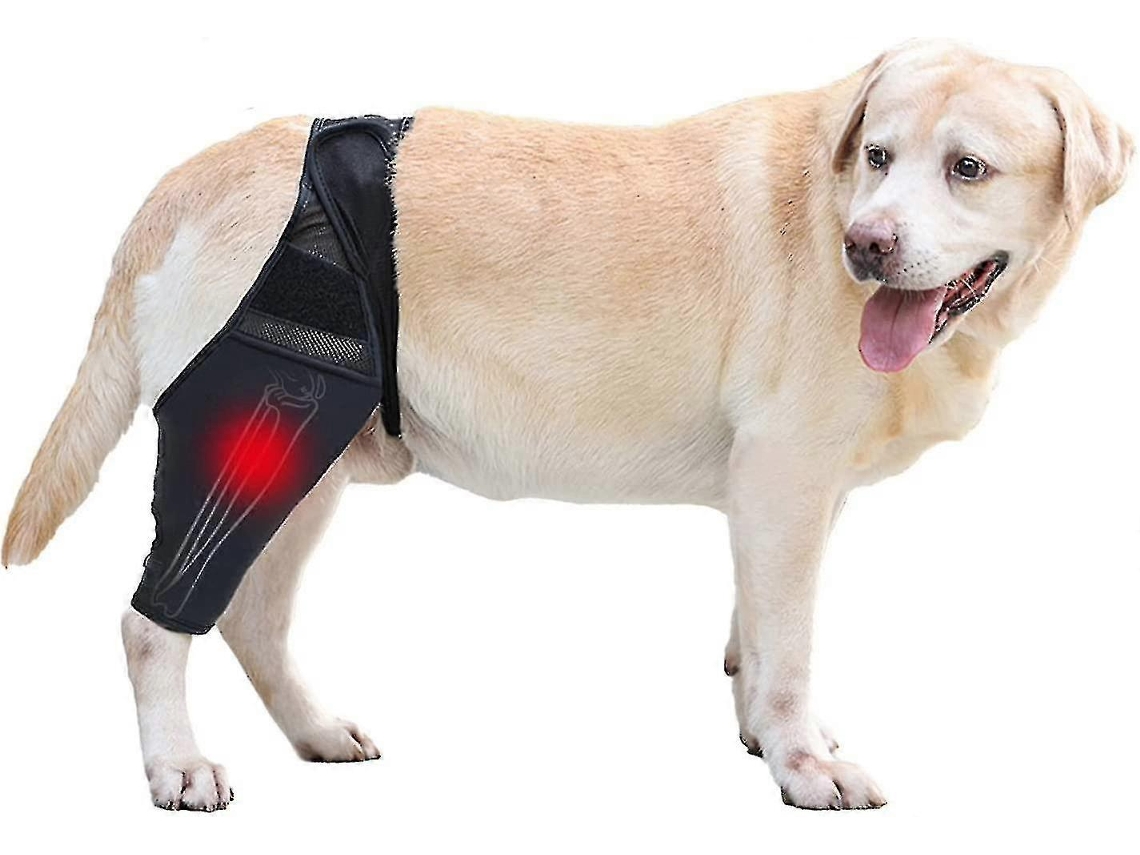 Faja Para Rodilla De Perro, Soporte Hígado Para Lesiones De Ligamento Cruzado, Ccl, Dislocación De Rótula U Osteoartritis Xl