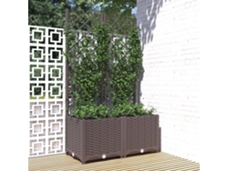 Maceta/Jardinera de Jardín con Enrejado 80X40X136 Cm PP Castaño