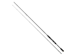 Cana Egging Raycast Titanium Preto 2.58 M / 2.5-4.0 Egicinnetic