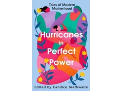 Libro Hurricanes In Perfect Power de Vários (Inglés)