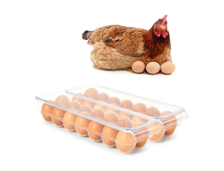 Doble Huevera Rectangular Para Nevera con Tapa PLASTIC FORTE (Capacidad 28 Huevos)