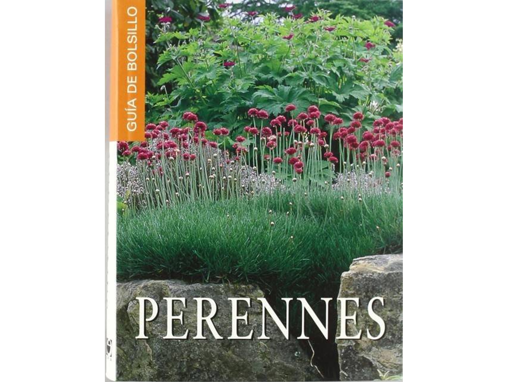 Libro Perennes de Equipo Editorial Quantum (Español)