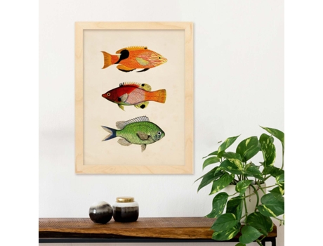 Póster NACNIC de Tres Peces Naranja, Negro Rojo, Verde en , Fondo Papel Vintage.