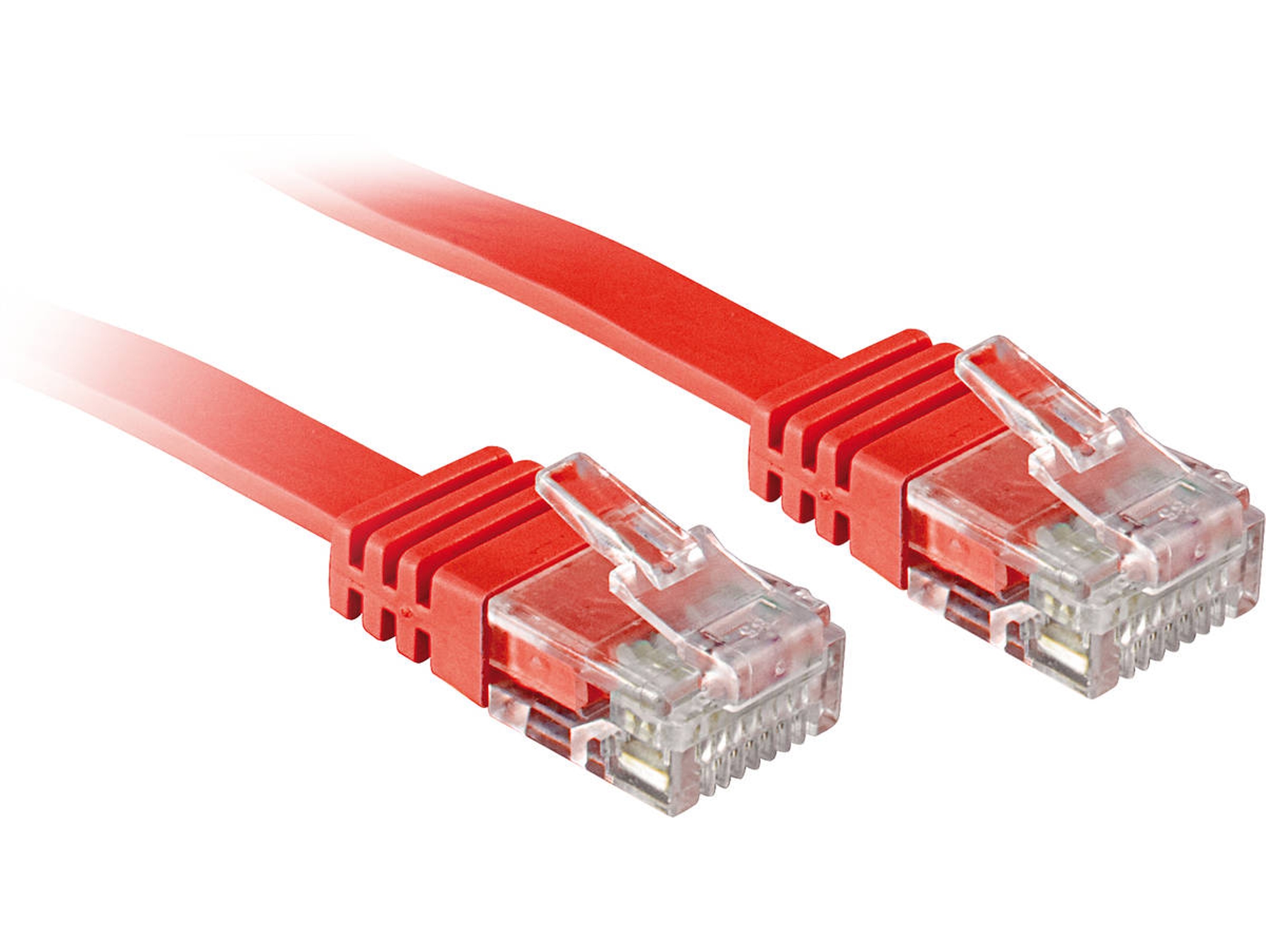 Cable de Red LINDY (RJ45)