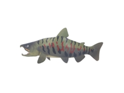 Figurino De Animal Marinho Pvc Seguro Modelo Educativo Brinquedo Peixe Oceano Pl127