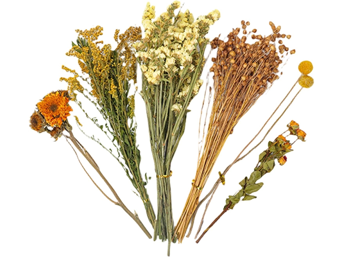 Decoración Lecho De Flores Secas Para Hámster