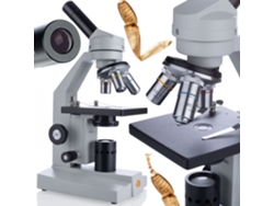 Microscopio biológico Uran Pro Mbup – Óptica de alta calidad | Cabezal de 360° | Uso profesional