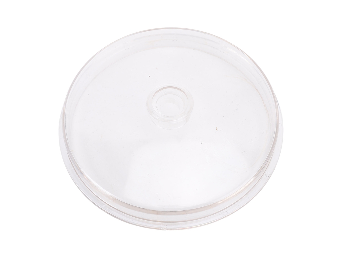 Tapa De Repuesto Para La Rejilla De La Bomba De Filtro De Arena Para Piscinas, Abs, 15,7 Cm