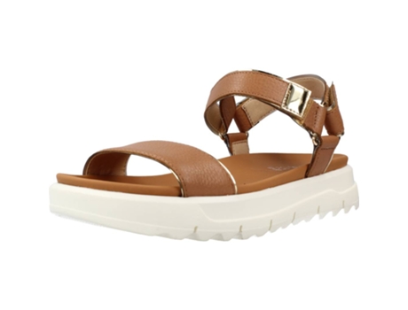Zapatos de Mujer GEOX Xand B Tecido Marrón (37)