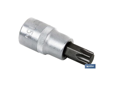 Llave de vaso 1/4 con punta t-10
