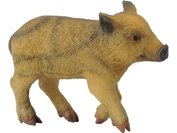 Figura COLLECTA León