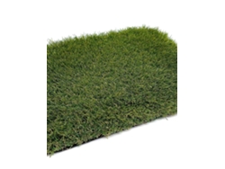 Césped Artificial Bergen Premium 40mm - Hierba Artificial Con Alta Densidad 2 X 4 Metros: 8 M2